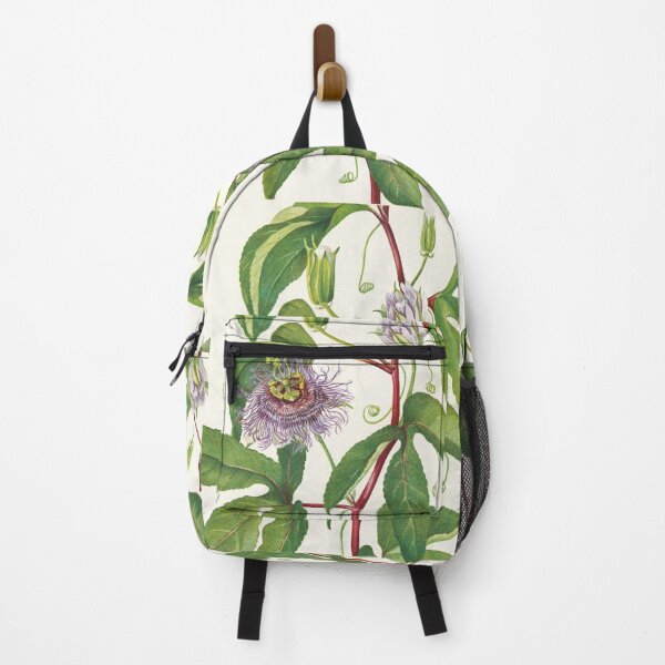 Item preview, Maypop Passionflower - Botanical Illustration designed and sold by chimakingthings.
