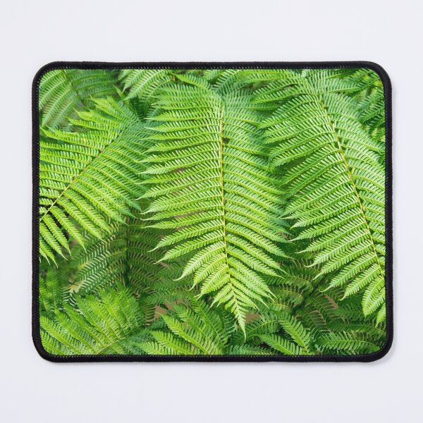 Item preview, Lacy Green Plumes - Verdant Biophilic Fern Pattern designed and sold by Georgia Mizuleva.