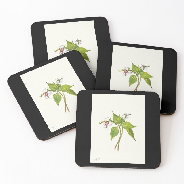 Item preview, Painted trillium - Botanical Illustration designed and sold by chimakingthings.