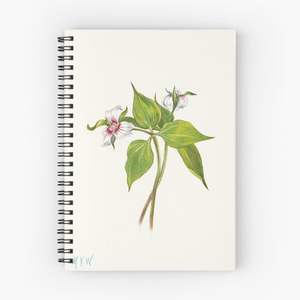Item preview, Painted trillium - Botanical Illustration designed and sold by chimakingthings.
