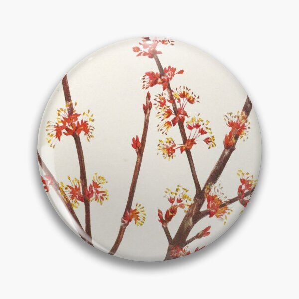 Item preview, Red maple flowers - Botanical Illustration designed and sold by chimakingthings.