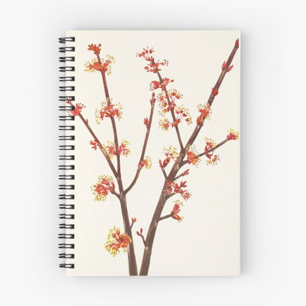 Item preview, Red maple flowers - Botanical Illustration designed and sold by chimakingthings.