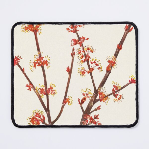 Item preview, Red maple flowers - Botanical Illustration designed and sold by chimakingthings.