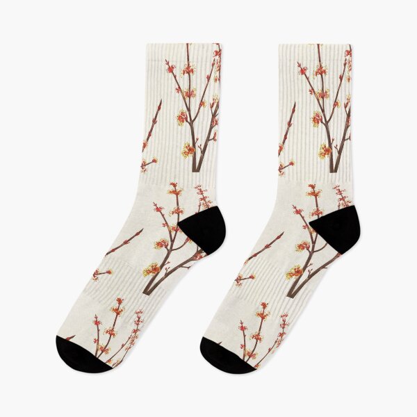 Item preview, Red maple flowers - Botanical Illustration designed and sold by chimakingthings.