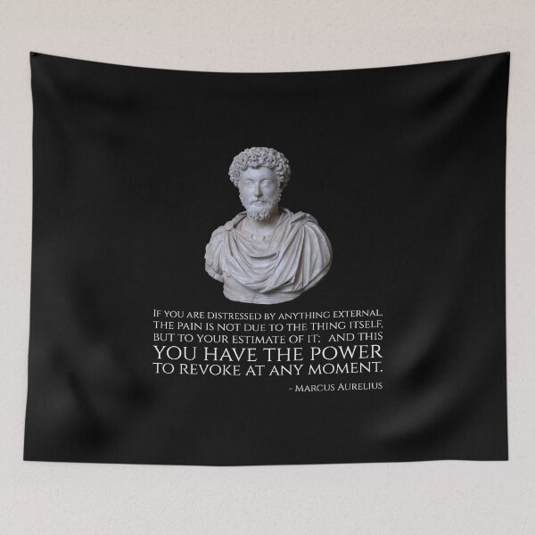Item preview, If you are distressed by anything external, the pain is not due to the thing itself, but to your estimate of it; and this you have the power to revoke at any moment. - Marcus Aurelius designed and sold by Styrman.