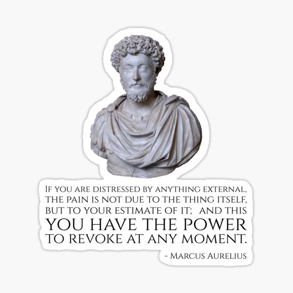 if-you-are-distressed-by-anything-external-the-pain-is-not-due-to-the