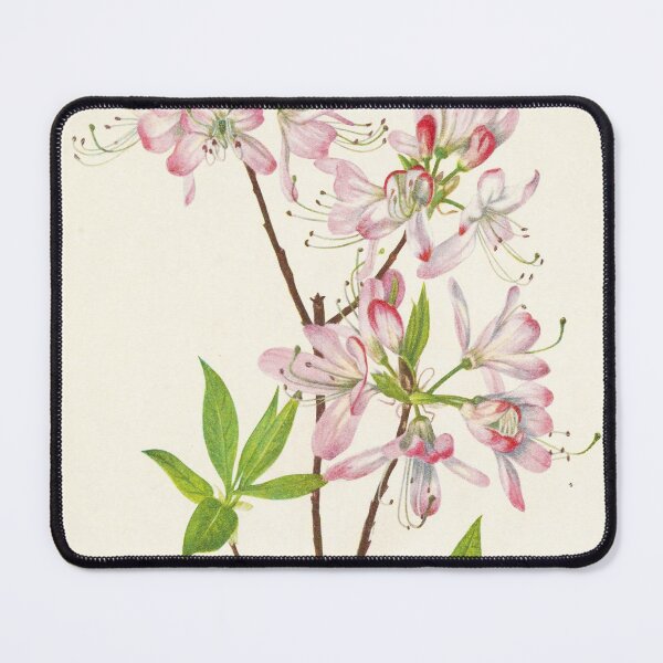Item preview, Pinkshell azalea - Botanical Illustration designed and sold by chimakingthings.