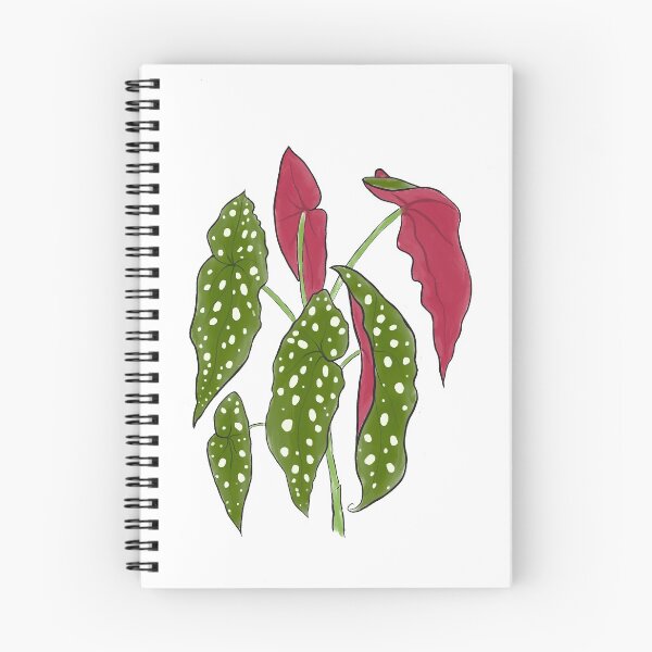 Item preview, Begonia designed and sold by CarlaTheeArtist.