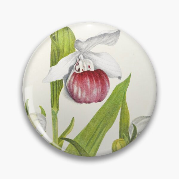 Artikelvorschau, Auffällige Damenpantoffeln - Botanische Illustration entworfen und verkauft von chimakingthings.