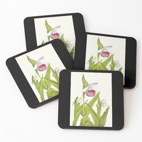 Item preview, Showy lady's slippers - Botanical Illustration designed and sold by chimakingthings.