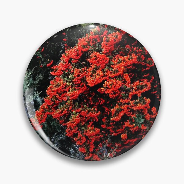 Item preview, Autumn, notebook designed and sold by Sanaa95-21BK.