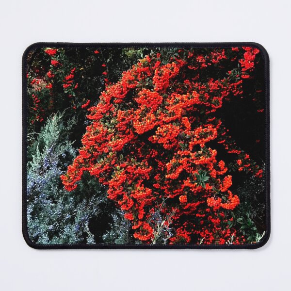 Item preview, Autumn, notebook designed and sold by Sanaa95-21BK.