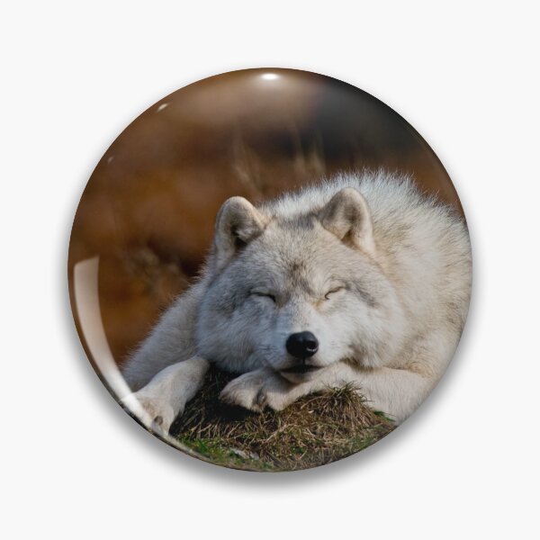 Item preview, Arctic Wolf designed and sold by WolvesOnly.