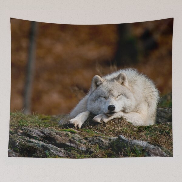 Item preview, Arctic Wolf designed and sold by WolvesOnly.