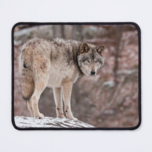 Item preview, Timber Wolf designed and sold by WolvesOnly.