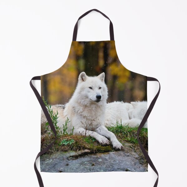 Artikelvorschau, Arctic Wolf entworfen und verkauft von WolvesOnly.