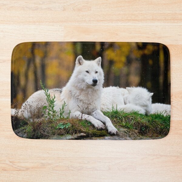 Artikelvorschau, Arctic Wolf entworfen und verkauft von WolvesOnly.