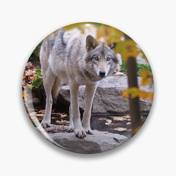 Item preview, Timber Wolf designed and sold by WolvesOnly.