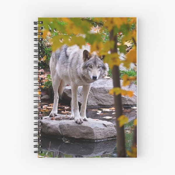 Artikelvorschau, Timber Wolf entworfen und verkauft von WolvesOnly.