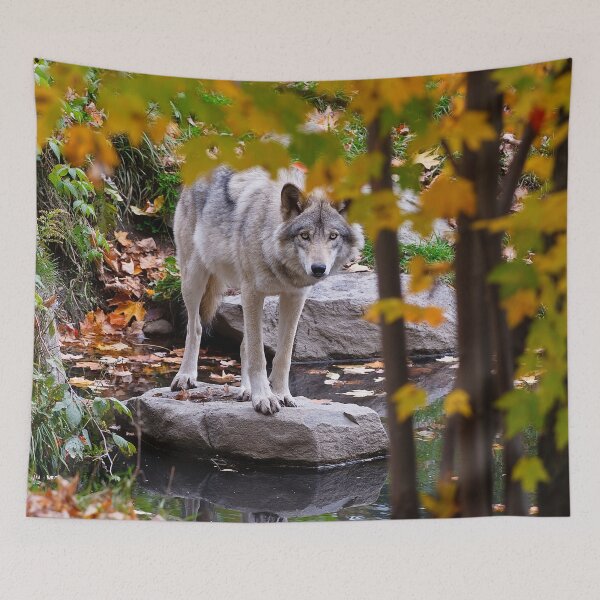 Item preview, Timber Wolf designed and sold by WolvesOnly.