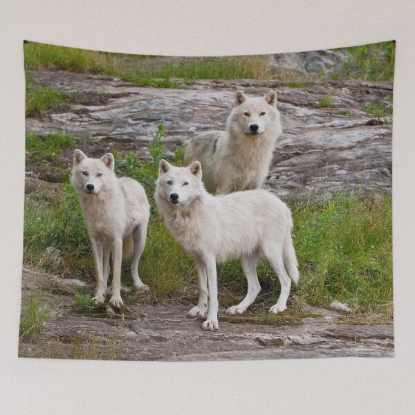 Item preview, Arctic Wolves designed and sold by WolvesOnly.