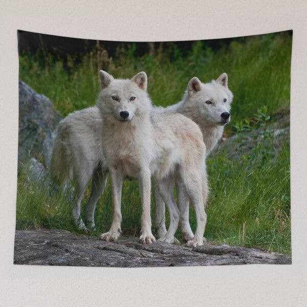Item preview, Arctic Wolves designed and sold by WolvesOnly.