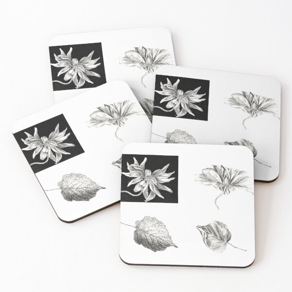 Item preview, Aesthetic Botanical Elements Art Print designed and sold by Eva Vincent.