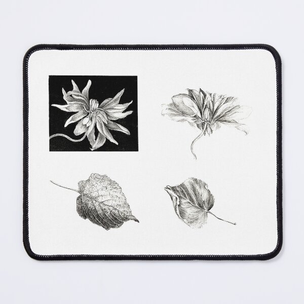 Item preview, Aesthetic Botanical Elements Art Print designed and sold by Eva Vincent.
