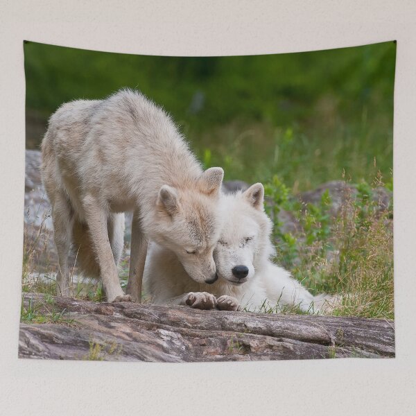 Item preview, Arctic Wolves designed and sold by WolvesOnly.