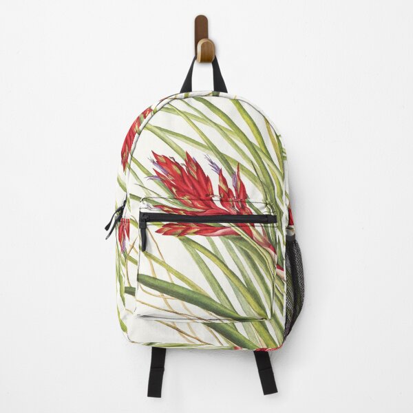 Item preview, Giant airplant - Botanical Illustration designed and sold by chimakingthings.