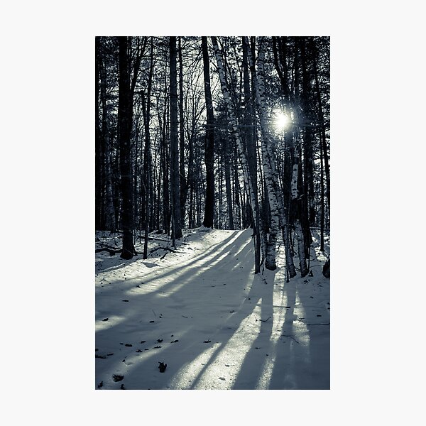 Item preview, Snowy Trees designed and sold by SYIllustration.