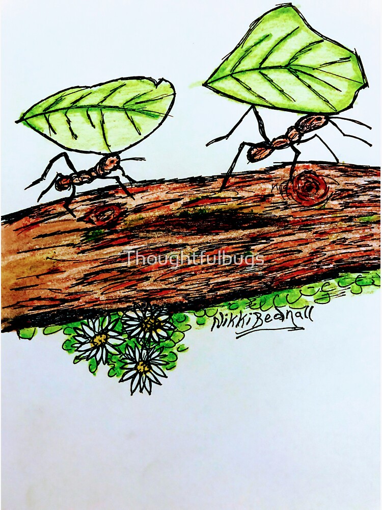 Ants at Work by Thoughtfulbugs