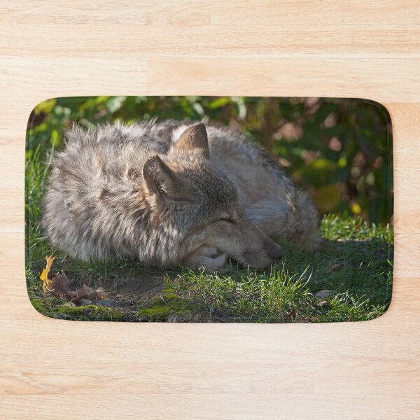 Aperçu de l'œuvre Sleeping Timber Wolf créée et vendue par WolvesOnly.