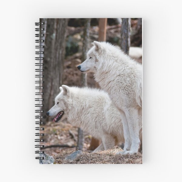 Item preview, Arctic Wolves designed and sold by WolvesOnly.