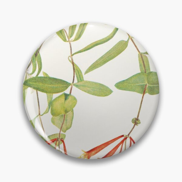 Item preview, Coral honeysuckle - Botanical Illustration designed and sold by chimakingthings.