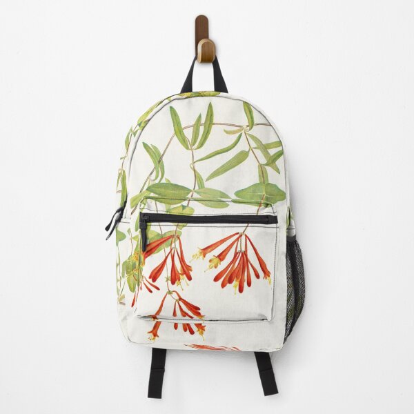 Item preview, Coral honeysuckle - Botanical Illustration designed and sold by chimakingthings.
