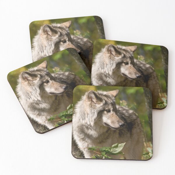 Item preview, Timber Wolf designed and sold by WolvesOnly.