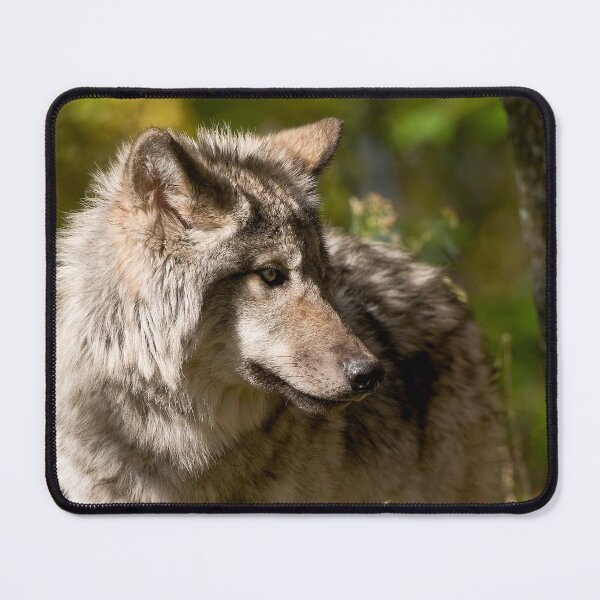 Item preview, Timber Wolf designed and sold by WolvesOnly.