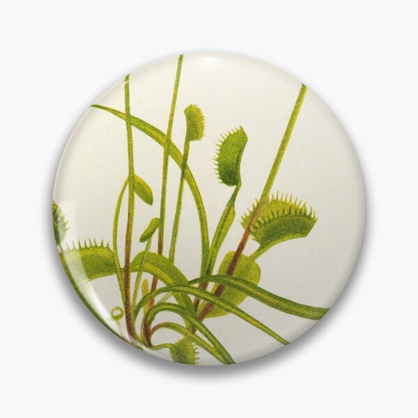 Item preview, Venus flytrap - Botanical Illustration designed and sold by chimakingthings.