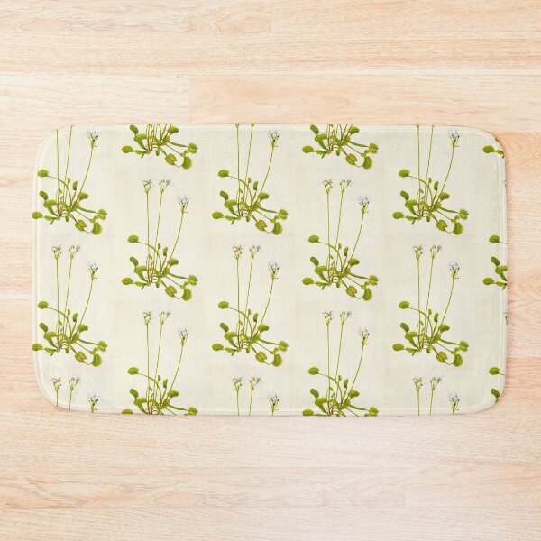 Item preview, Venus flytrap - Botanical Illustration designed and sold by chimakingthings.