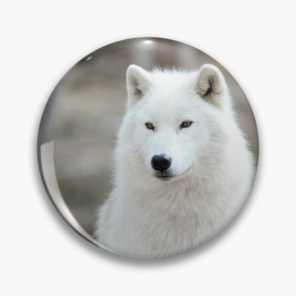 Artikelvorschau, arktischer Wolf entworfen und verkauft von WolvesOnly.