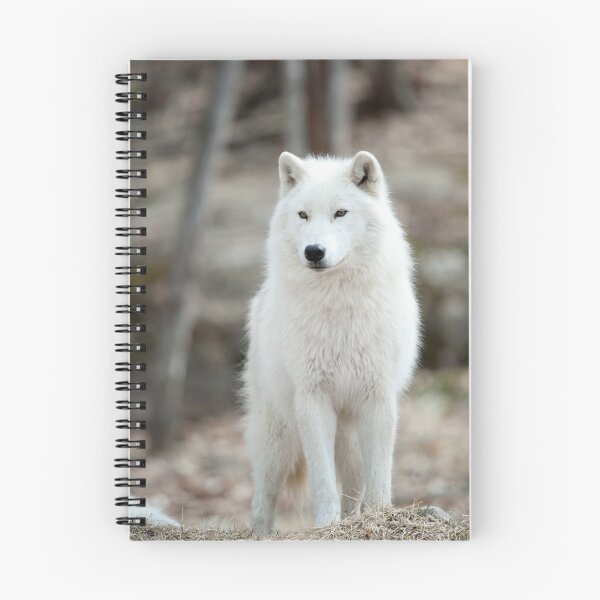 Item preview, Arctic Wolf designed and sold by WolvesOnly.