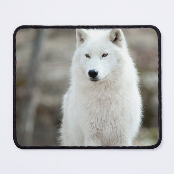 Item preview, Arctic Wolf designed and sold by WolvesOnly.