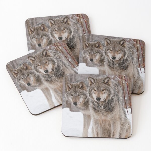 Item preview, Timber Wolves designed and sold by WolvesOnly.
