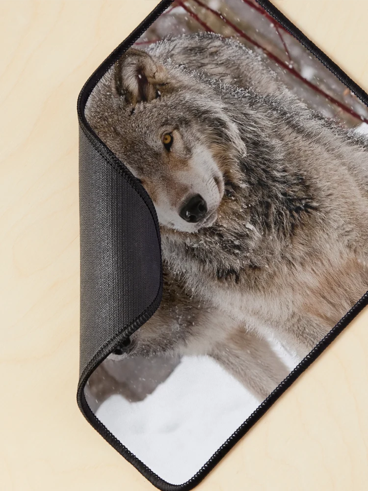 Thumbnail 2 of 5, Mouse Pad, Timber Wolves designed and sold by WolvesOnly.