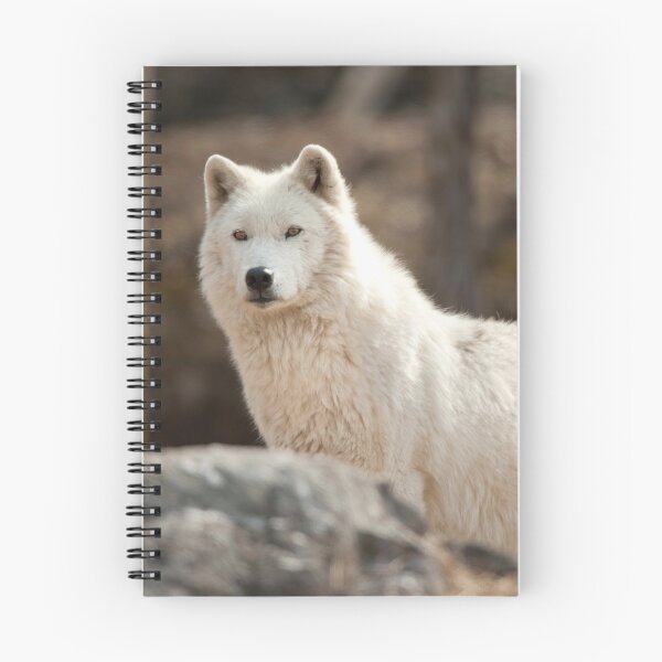 Artikelvorschau, Arctic Wolf entworfen und verkauft von WolvesOnly.