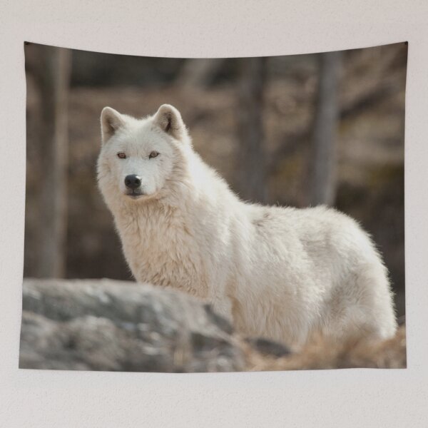 Item preview, Arctic Wolf designed and sold by WolvesOnly.