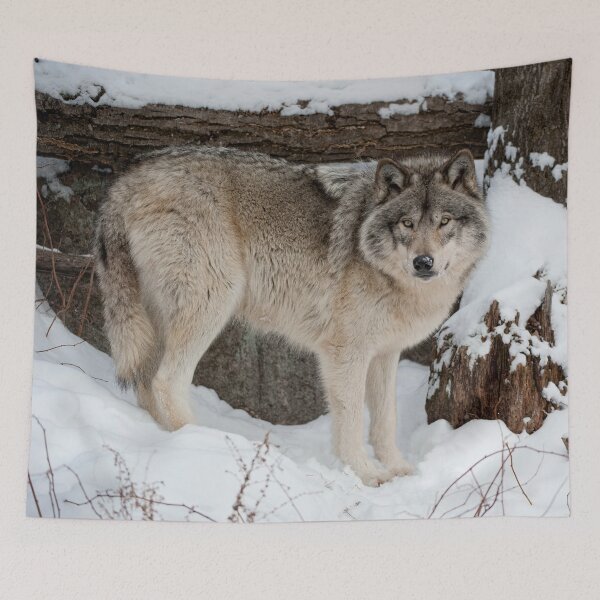 Item preview, Timber Wolf designed and sold by WolvesOnly.
