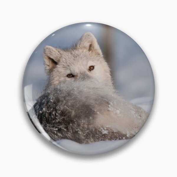 Item preview, Arctic Wolf designed and sold by WolvesOnly.