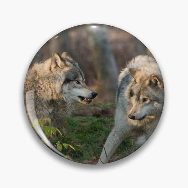 Item preview, Timber Wolves designed and sold by WolvesOnly.